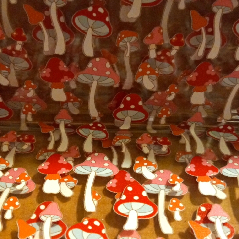 Amazing, Acrylic, Floating Wall Mushroom Shelves 🍄 (2 Shelves/Pack!)